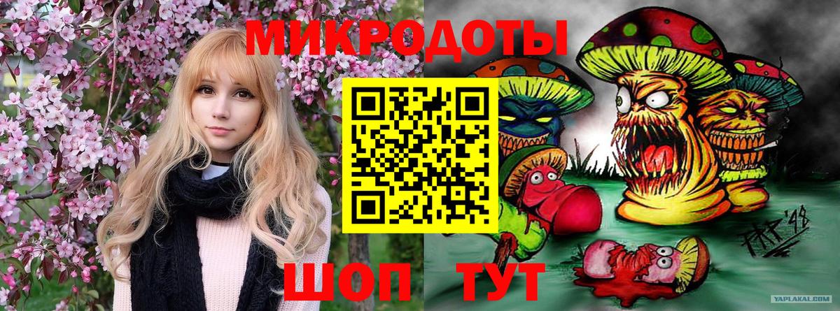 сколько стоит  Галлюциногенные грибы MAGIC MUSHROOMS  Благовещенск  Вход с VPN  Галлюциногенные грибы мухоморы 